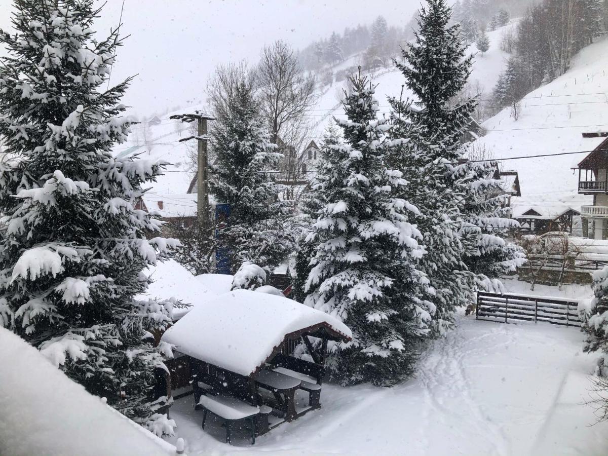 Pensiunea Rodis Moeciu De Sus Bagian luar foto