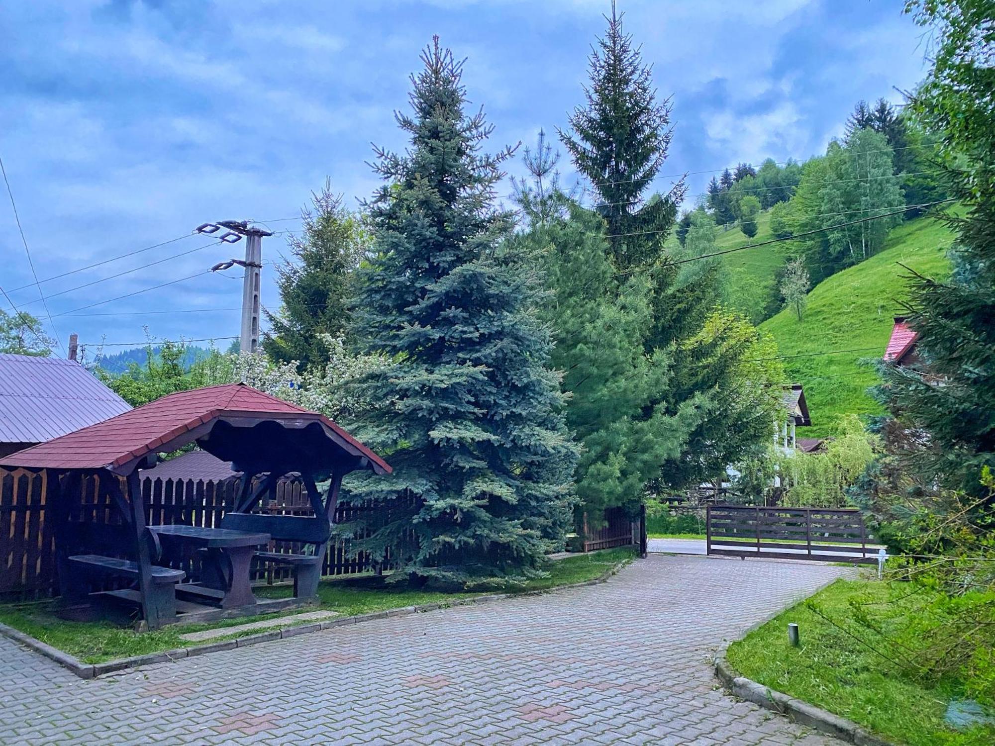 Pensiunea Rodis Moeciu De Sus Bagian luar foto